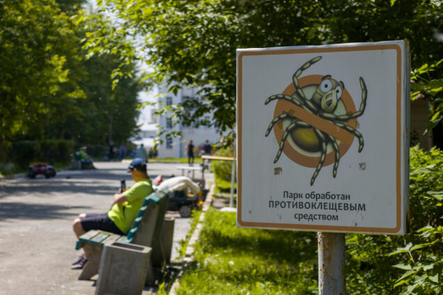 Клещи