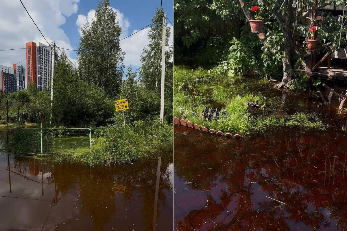 На ВИЗе затопило восемь садовых товариществ. Фото, видео