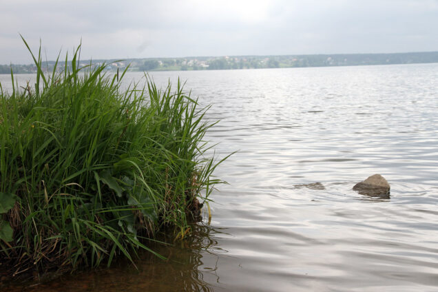 водоем_Горчаков_3