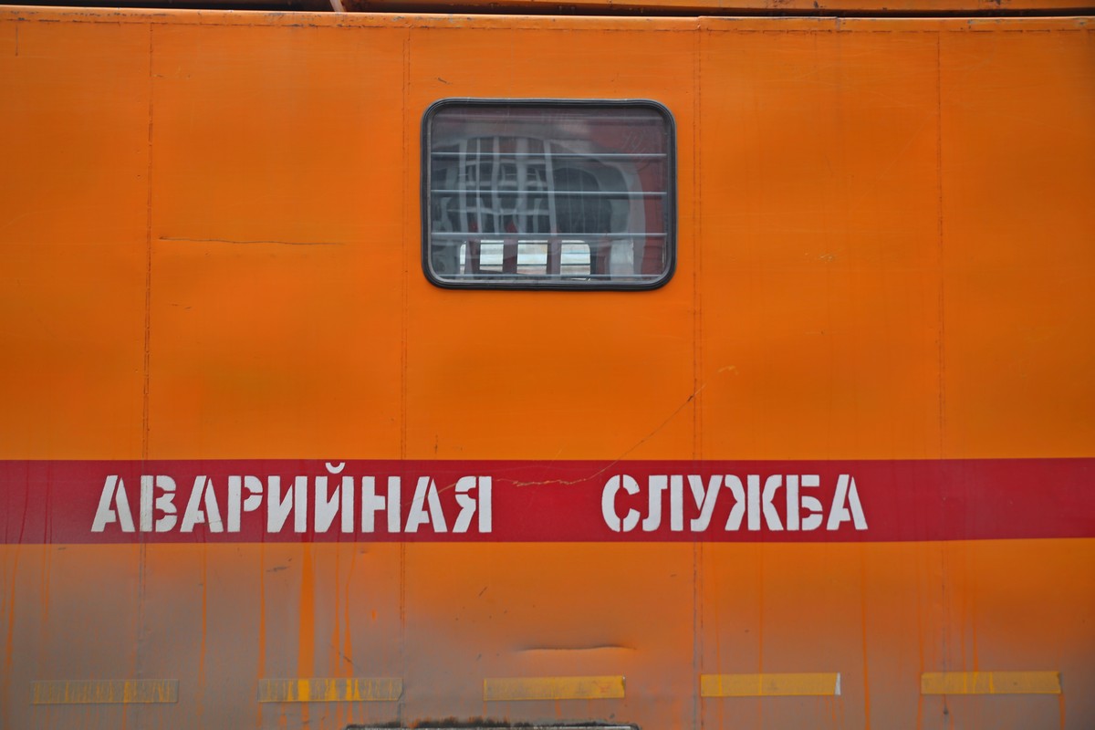7T7A8351