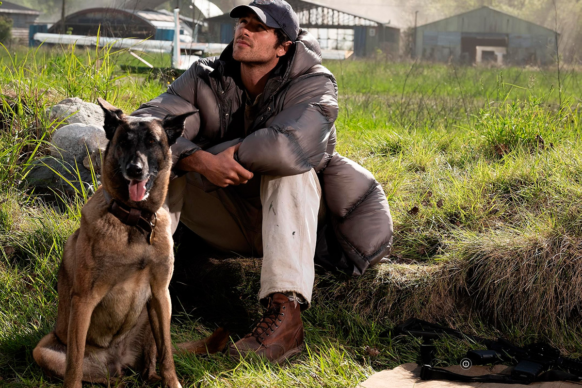 dogstars_2